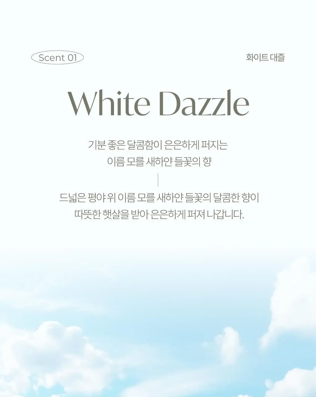 [신규향출시] 라운드어라운드 편백 클린 스프레이 90ml 단품/콜라보기획 상세페이지 20